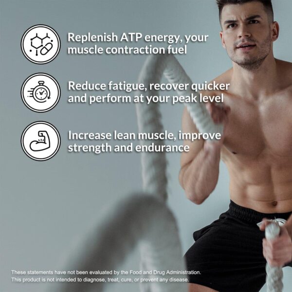 Naked Creatine Monohydrate - Image 2