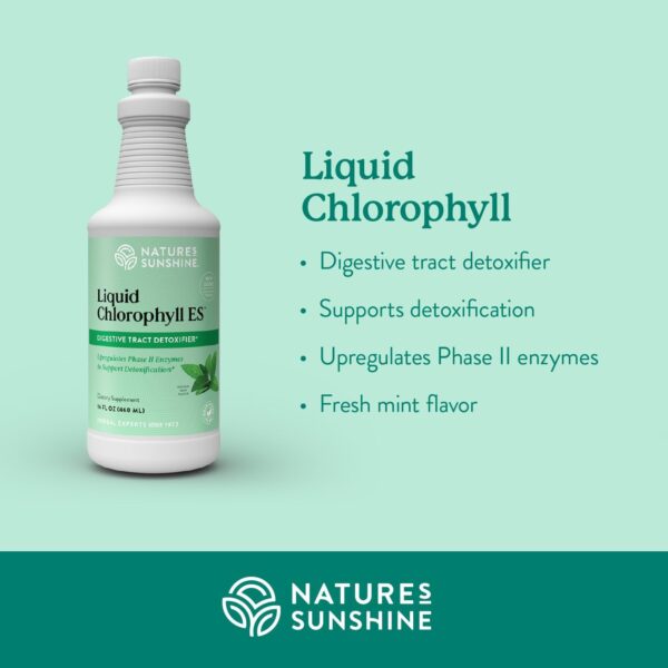 Nature's Sunshine Liquid Chlorophyll Extra Strength - Image 2