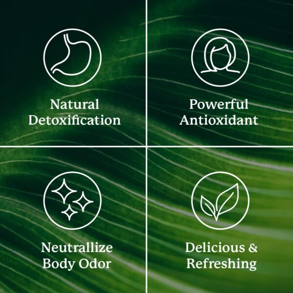 Nature's Sunshine Liquid Chlorophyll Extra Strength - Image 6
